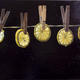 lemons on time | | 50 x 40cm | oil on canvas lemons on time