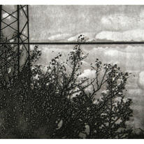 Photopolymer 