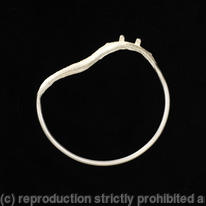 cuttlefish bangle 