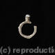 cuttlefish ring