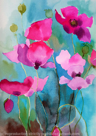 Poppies