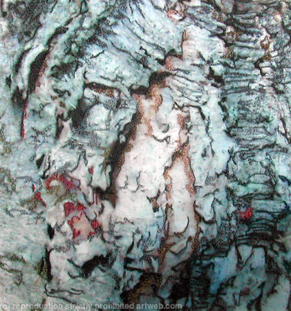 Arnside Bark