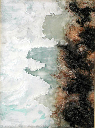 Waves and Seaweed