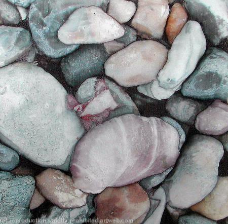 Pebbles and Pink Shell