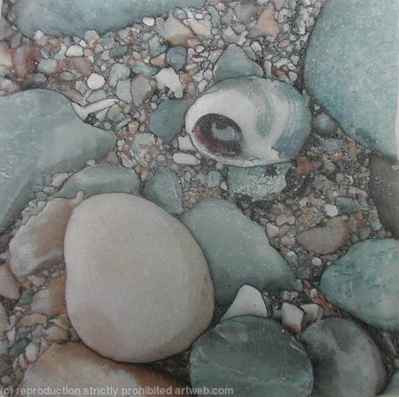 Shell and Pebbles