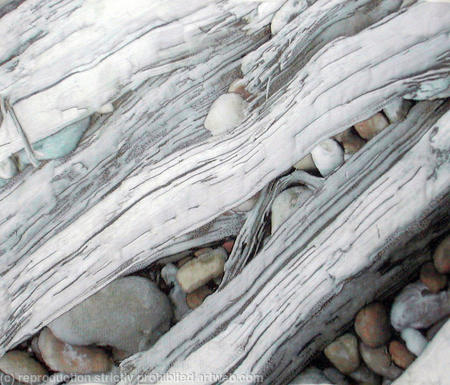 Pebbles and Driftwood