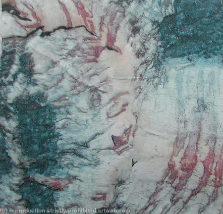 Tiger-bark-3