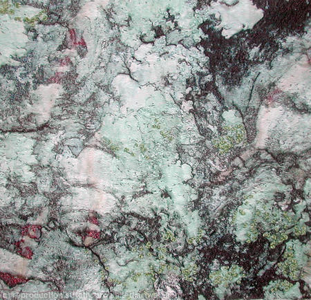 MOSSY BARK