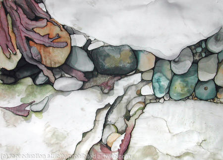 Seaweed in Rock pool