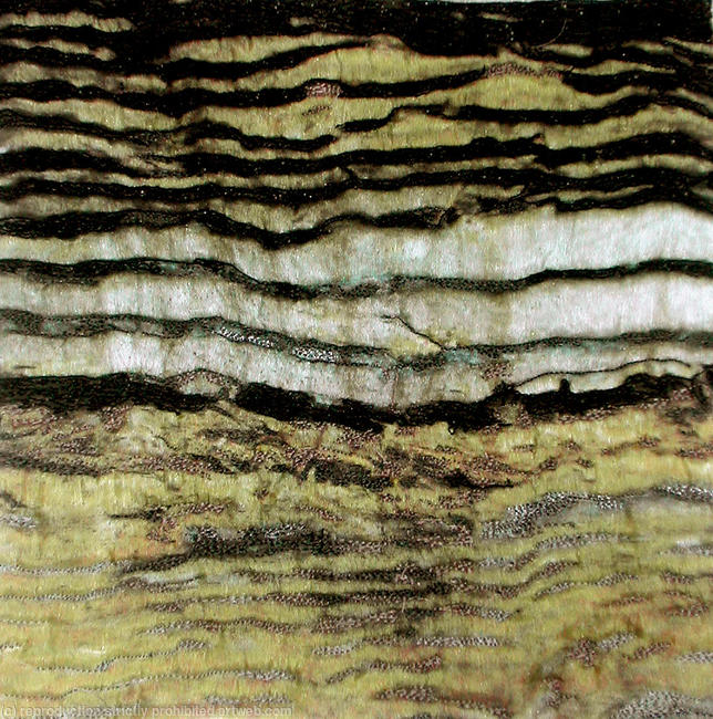 Strata Printed silk embroidery	/><link rel=