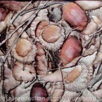 Little acorns