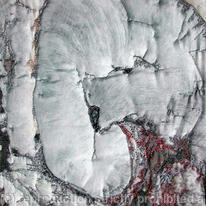 Wooden Embryo