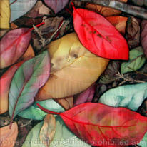 Leaves