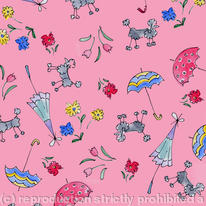 Poodles and umbrellas