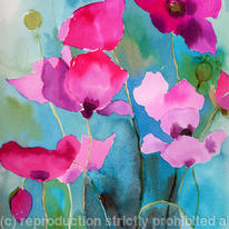 Poppies