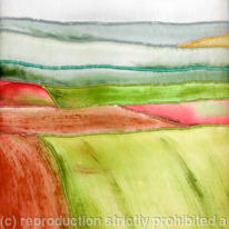 poppies and ploughed field