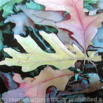 Coloured Leaves