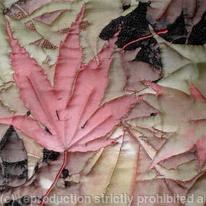 Pink Leaf