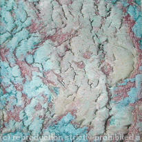 Jewel Bark 2