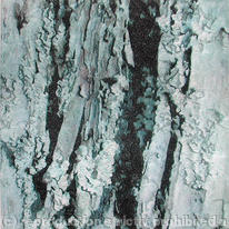 Rough Bark