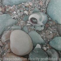 Shell and Pebbles