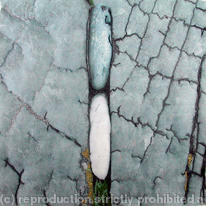 Blue Pebble White Pebble