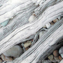 Pebbles and Driftwood