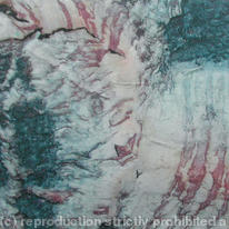 Tiger-bark-3
