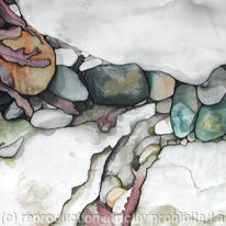 Seaweed in Rock pool