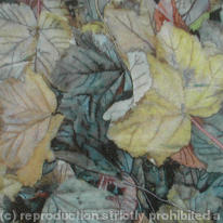 mottled leaves