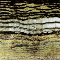 Strata
