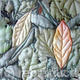 Fallen leaves