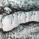 Cork Bark