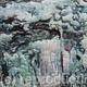 Birch bark