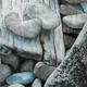 Driftwood and Pebbles