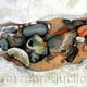 Rockpool III