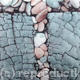 Pebble T