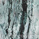 Rough Bark