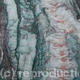 Tiger Bark 2