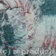 Tiger-bark-3