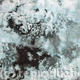 ice II