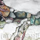 Seaweed in Rock pool
