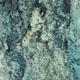 Snake Bark