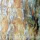 Sequoia Bark