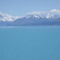 New Zealand Blue