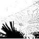Cobweb