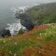 The Lizard, Cornwall