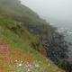 Lizard Point - Mist…