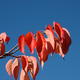 Signs of autumn