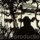 Black Cow | (sold) | 76 x 56cm | Charcoal Black Cow